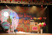 Little Shop of Horrors 135